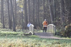 IMG_7645 (Small)