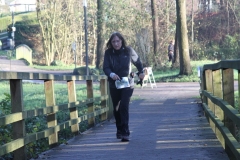 IMG_7936 (Small)