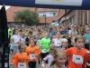 LMF2015_2550_100